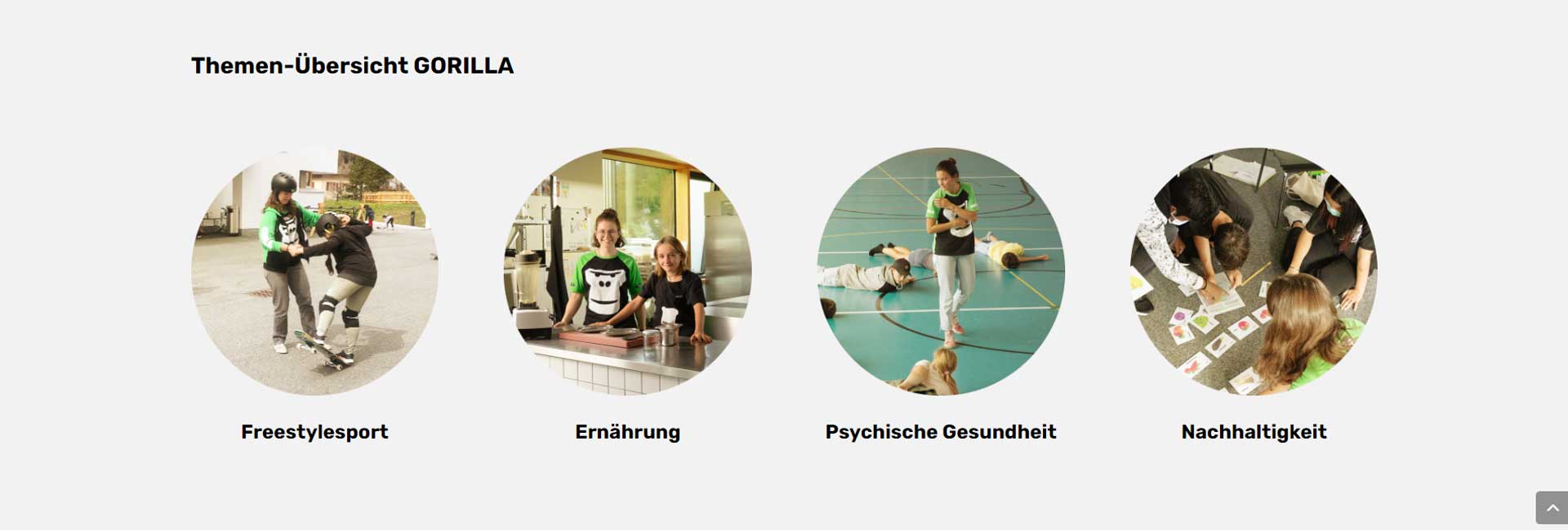 Neuerstellung Webseite Referenz gemeinnützige Organisation Gorilla Beispiel Footer